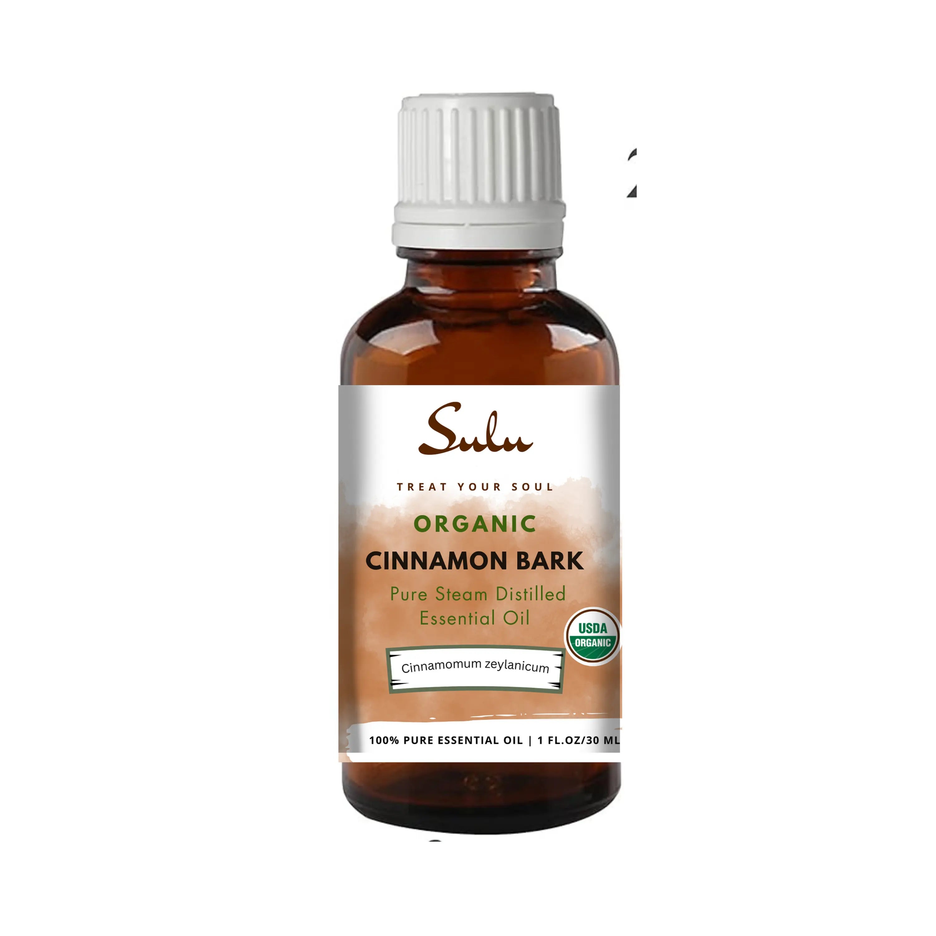 plant therapy cinnamon bark 100% Pure Steam Distilled Therapeutic Grade Cinnamon Bark Essential – SULU ORGANICS®