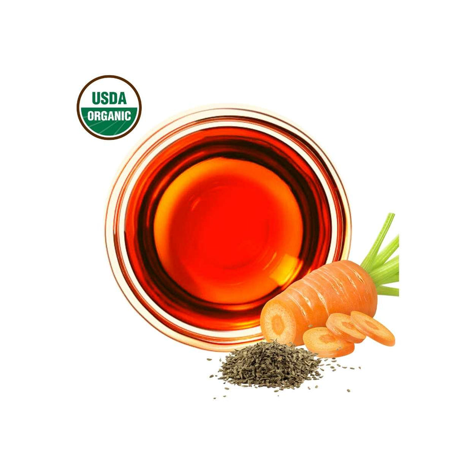 WHOLESALE of ORGANIC UNREFINED COLD PRESSED CARROT SEED OIL