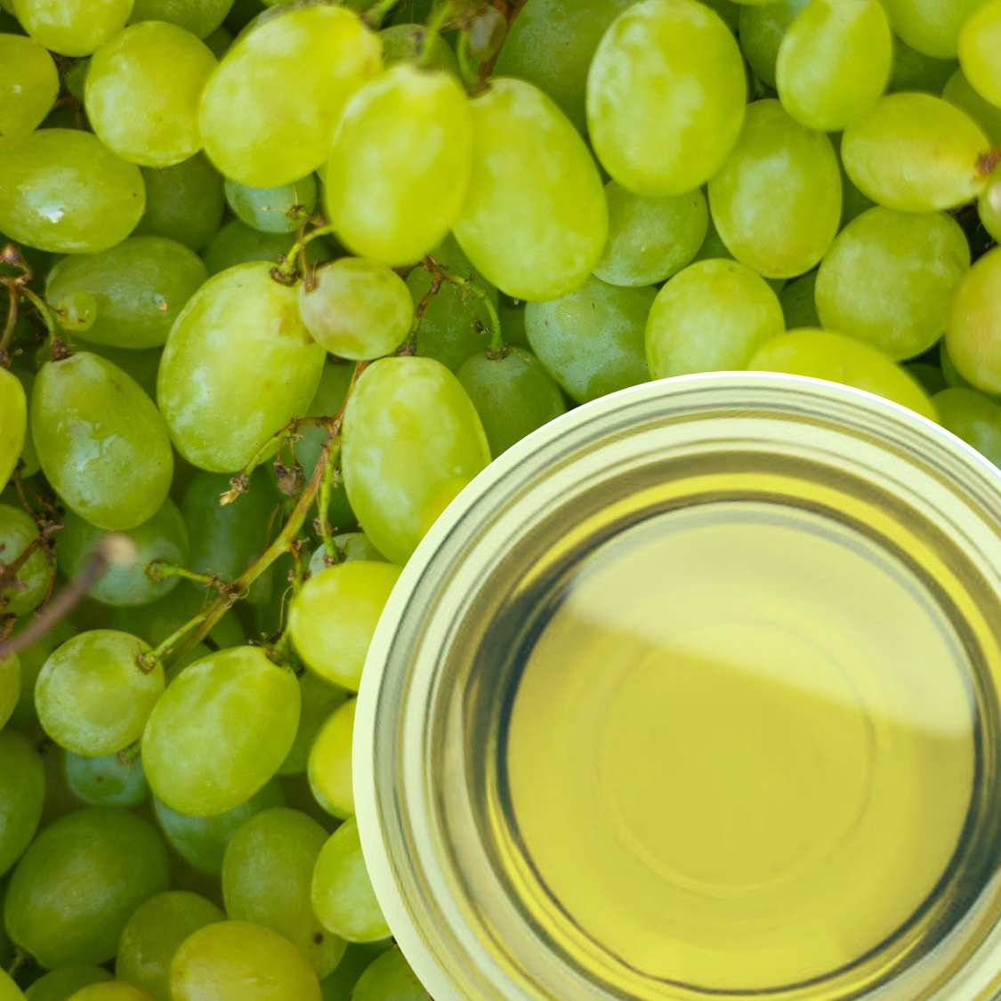 grape seed oil plant UNREFINED GRAPESEED OIL