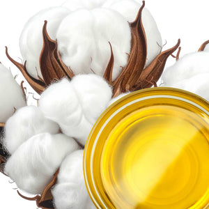 Cottonseed Oil-Pure Winterized Oil