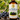 Acai Berry Oil-Unrefined Virgin
