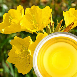 Organic Evening primrose Oil