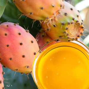 Prickly Pear Seed Oil - Unrefined Cold Pressed Virgin