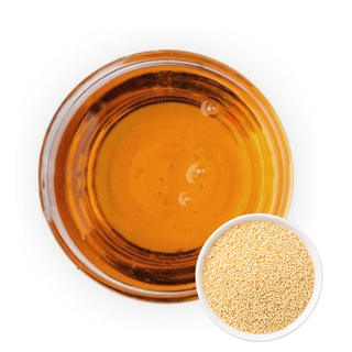 Sesame Seed Oil- Raw Unrefined Toasted Sesame Seed Oil