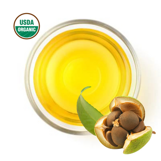 Organic Camellia Oil- USDA Certified Unrefined Expeller Pressed  Extra Virgin Bitter Tea Seed Oil