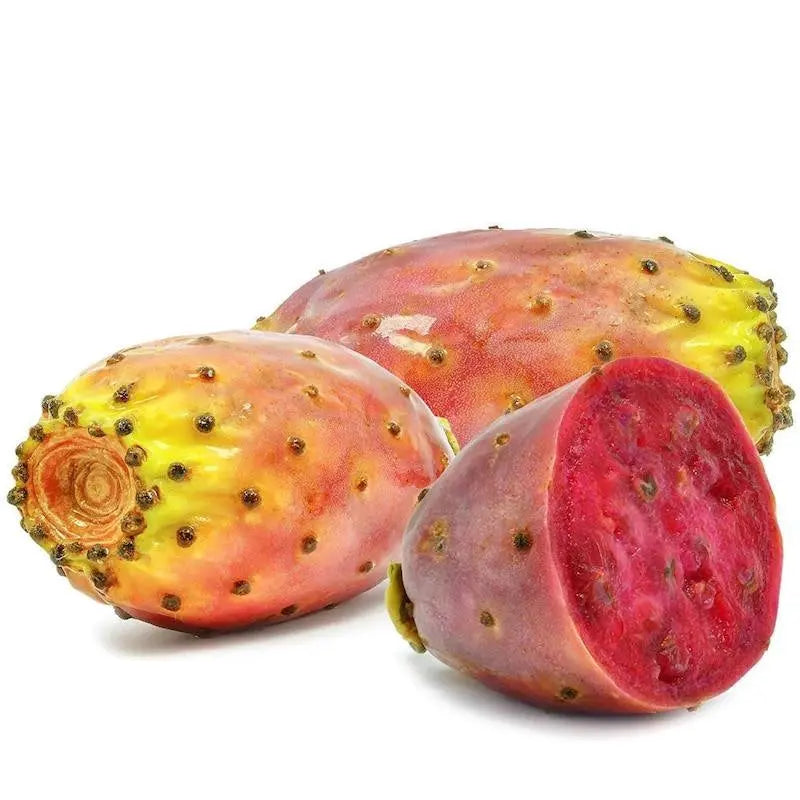 Prickly Pear Seed Oil - Unrefined Cold Pressed Virgin